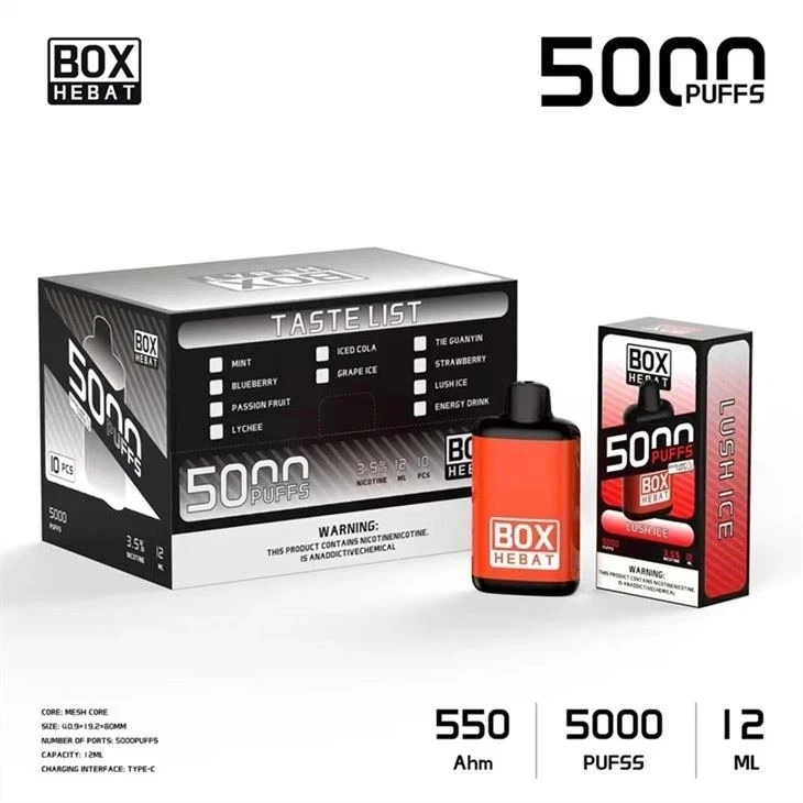 Hebat Box 5000 Puffs Disposable Vape factory